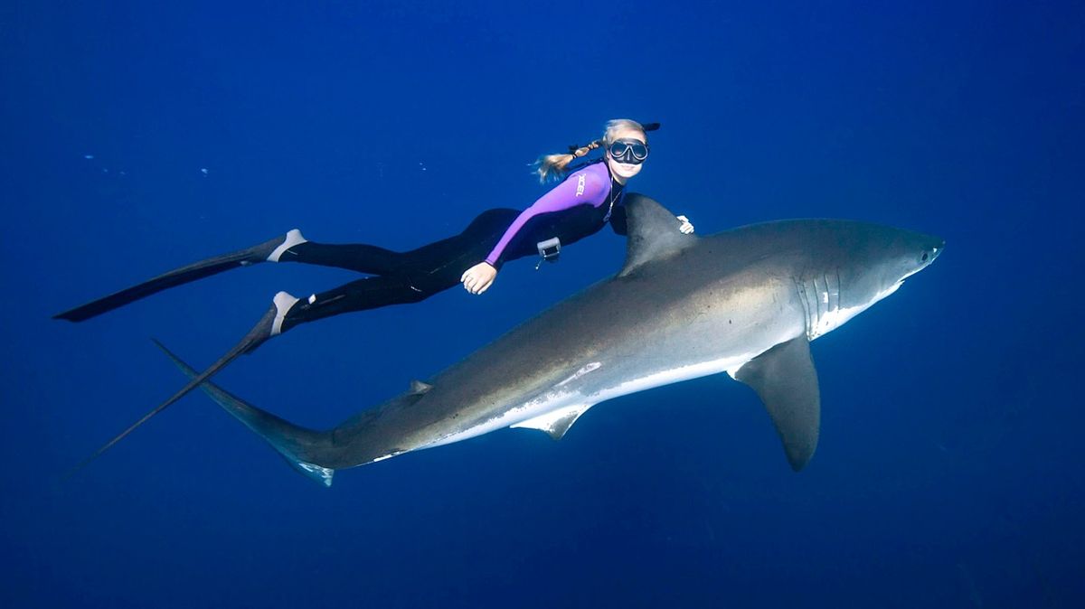 Populární milovnice žraloků musela rychle couvat, čelisti byly nebezpečně blízko